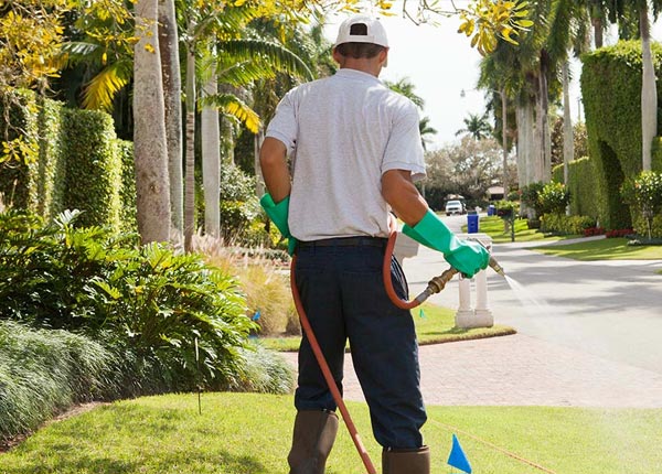 About Ogallah KS Pest Control